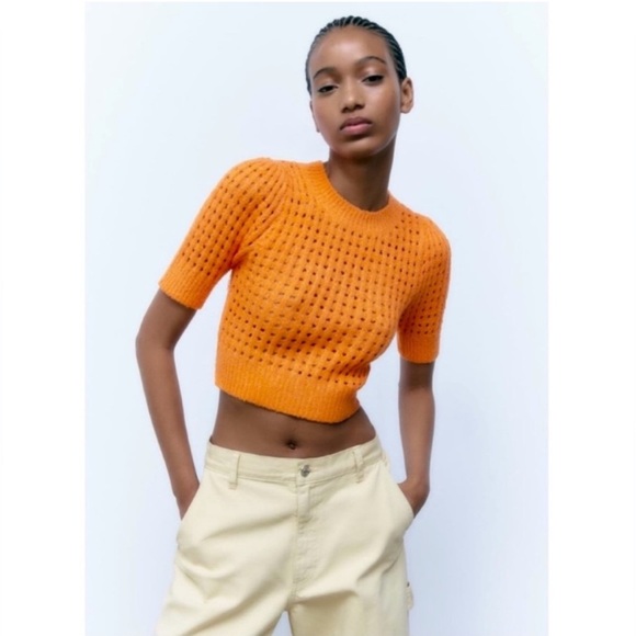 Zara short sleeve cropped sweater (Size S) - Picture 1 of 11